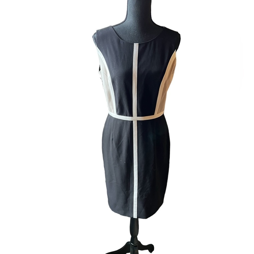 Calvin Klein Neutral Tone Shift Dress - Picture 3 of 7
